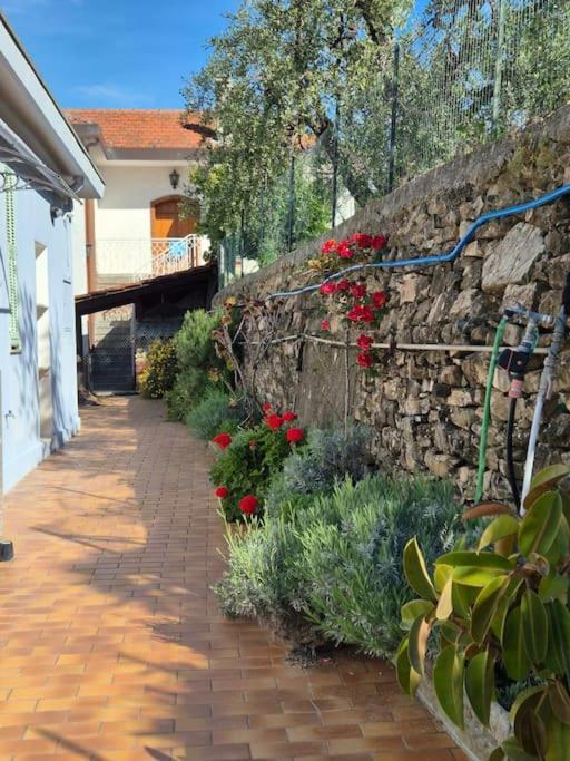 La Casa Di Mario A Сан-Лоренцо-аль-Маре Экстерьер фото